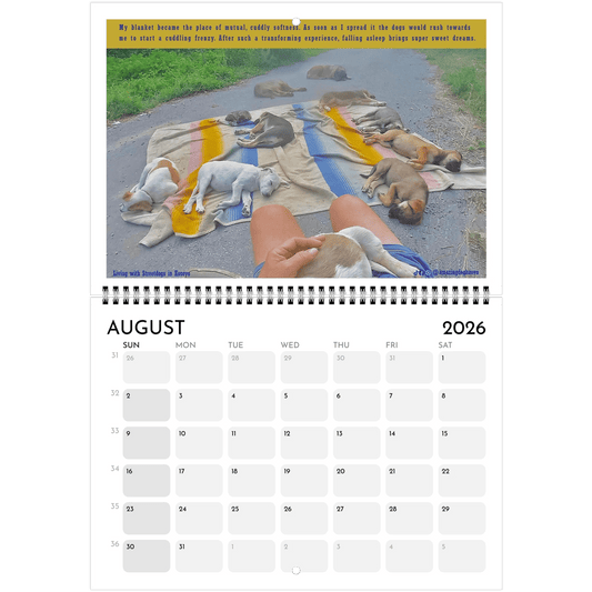 Living with Streetdogs in Kosovo – Captivating Photos Supporting Natural Habitats - PrintsyNook