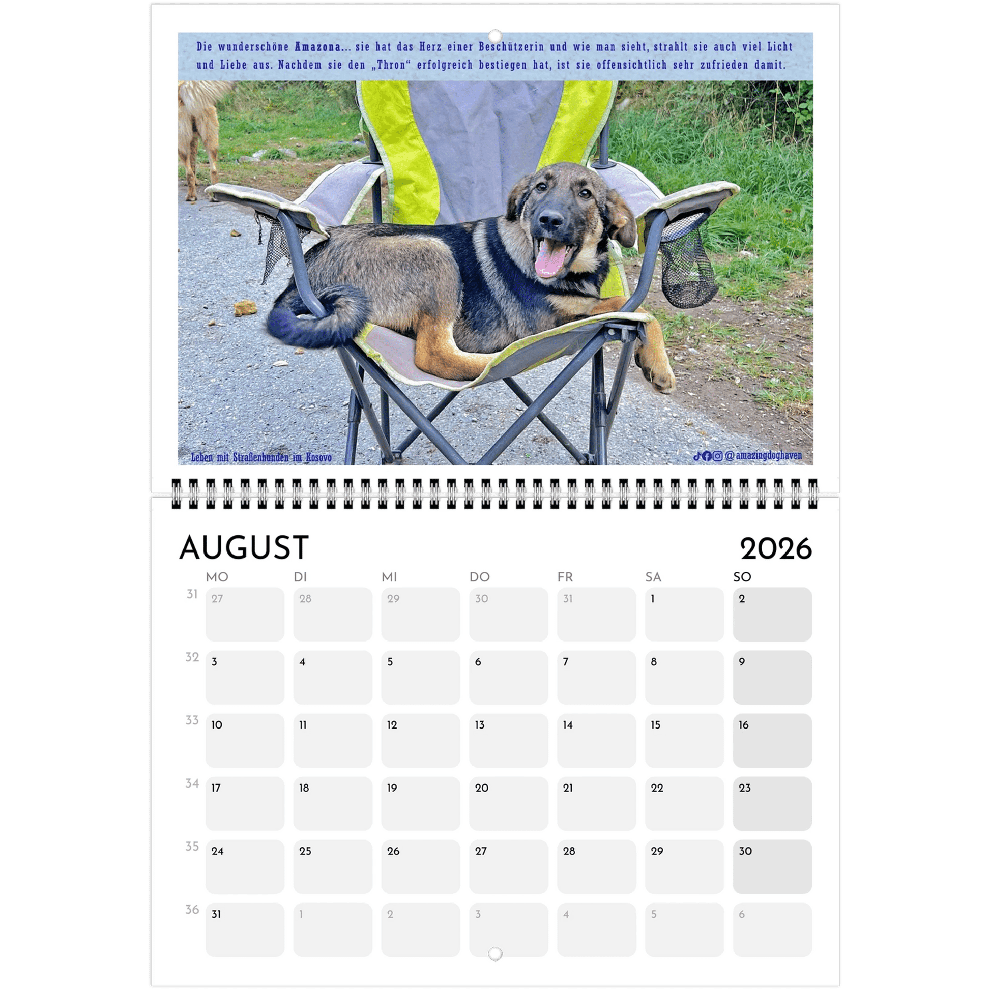 Kalender 2026 - A4 und aufgeklappt A3 - Leben mit Straßenhunden im Kosovo - PrintsyNook