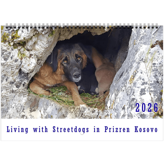 Living with Streetdogs in Kosovo – Captivating Photos Supporting Natural Habitats - PrintsyNook