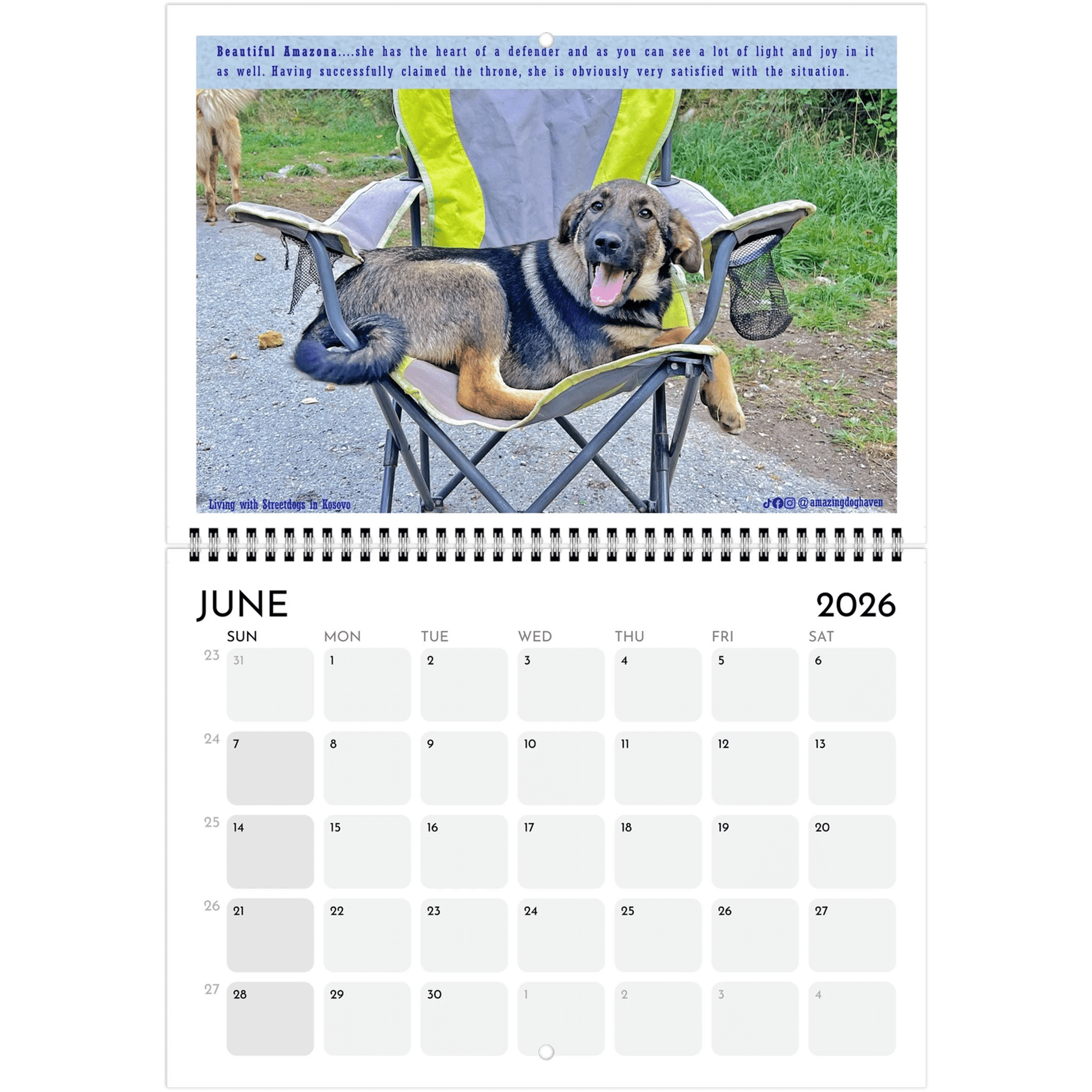 Living with Streetdogs in Kosovo – Captivating Photos Supporting Natural Habitats - PrintsyNook