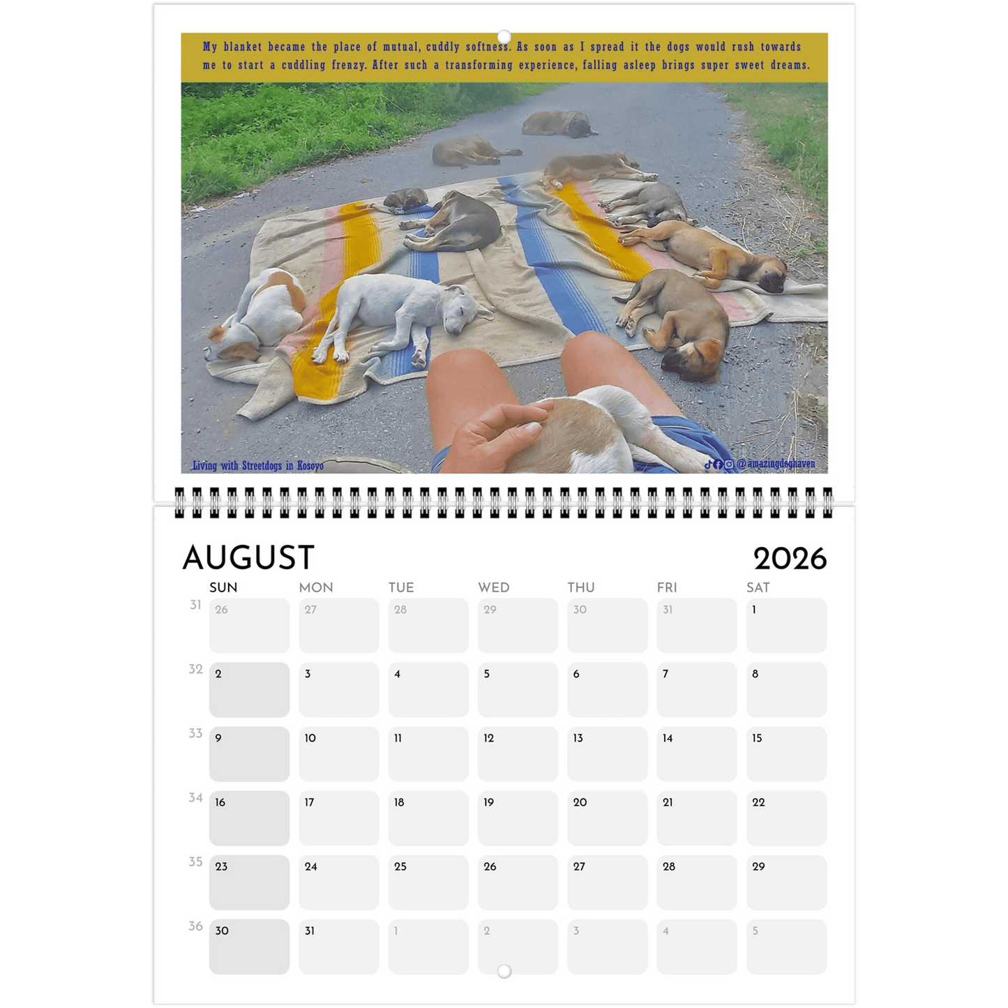 Living with Streetdogs in Kosovo – Captivating Photos Supporting Natural Habitats - PrintsyNook