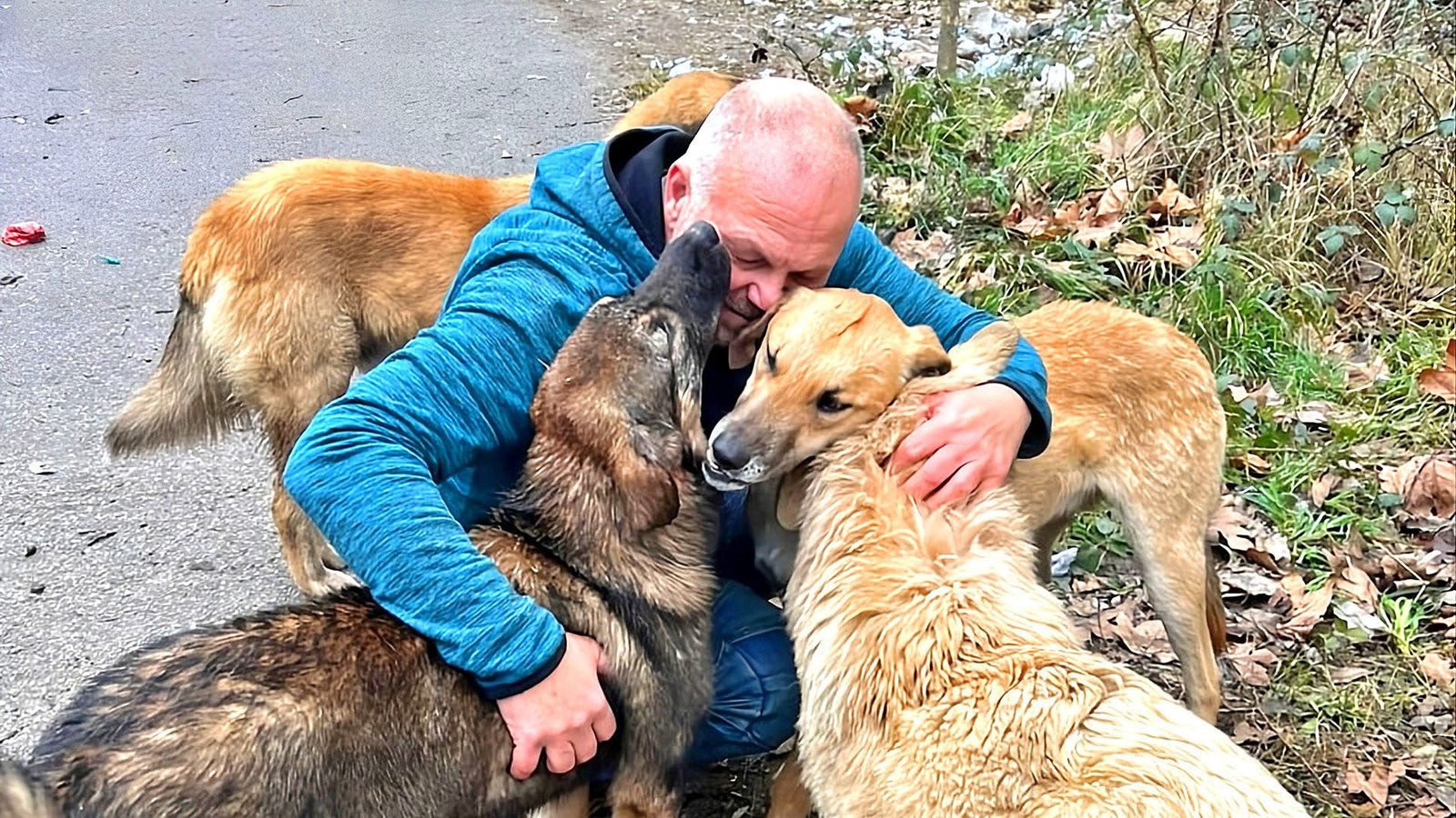 upscalemedia-transformed_720p